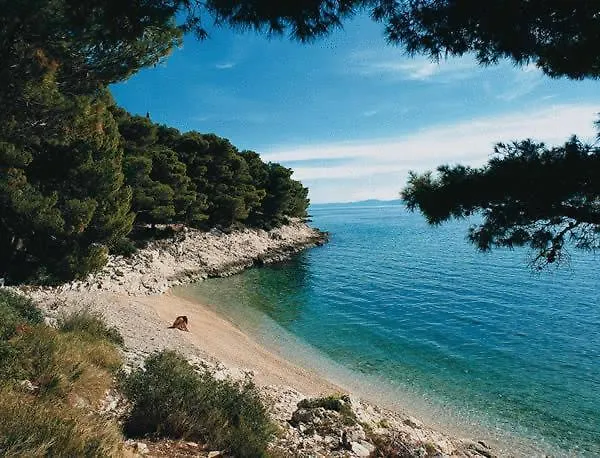 Dalmatina *