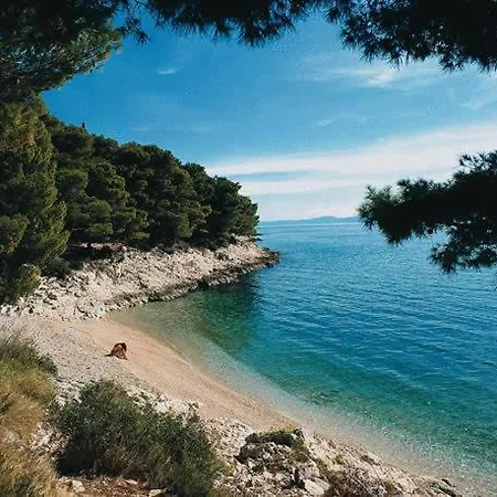 Dalmatina *